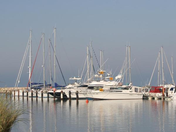 Oh! Campings La Brise Saintes-Maries-de-la-Mer Exterior photo